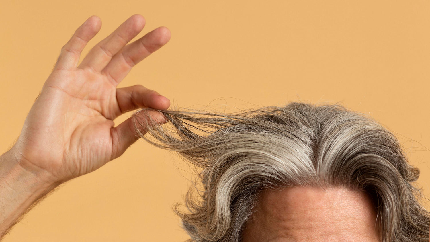Cuidado de Canas